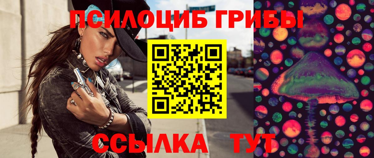 сколько стоит  Псилоцибиновые грибы Psilocybine cubensis  Вход с VPN  Челябинск 