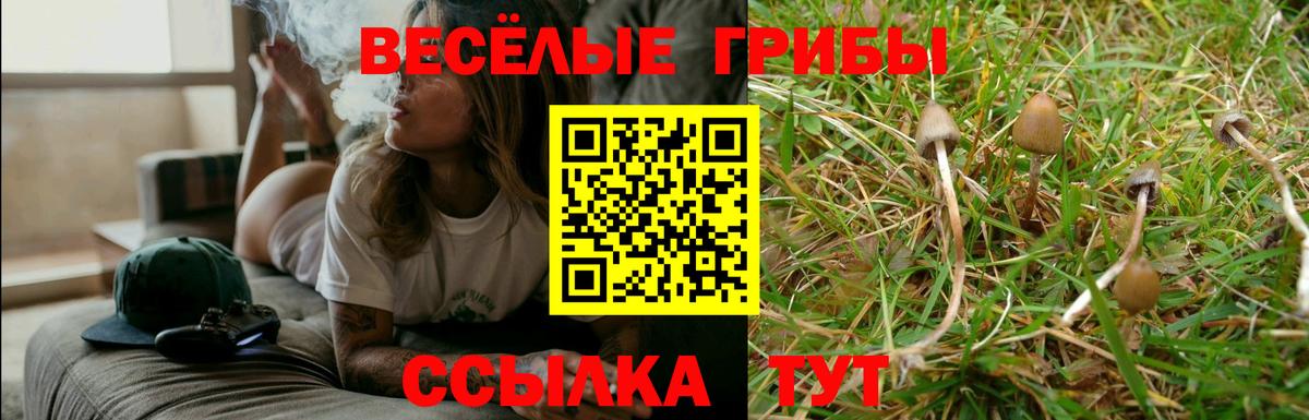 Псилоцибиновые грибы мухоморы Челябинск